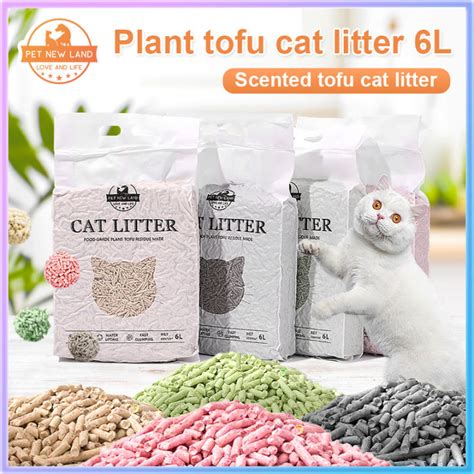 6 Best Tofu Cat Litters .